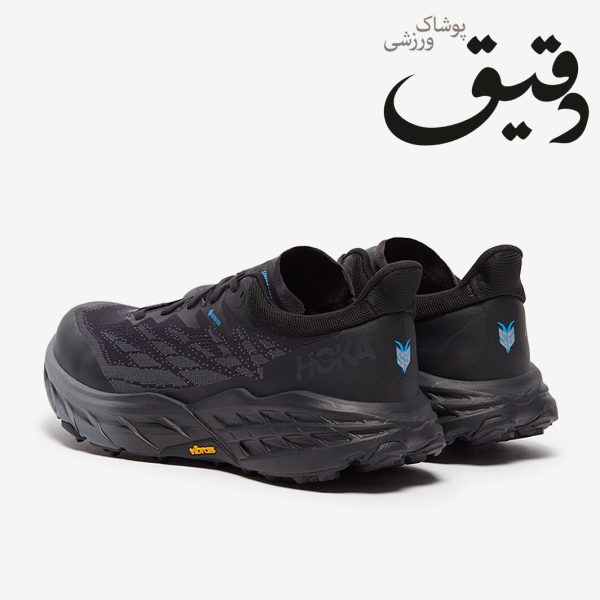 کفش کتونی ورزشی هوکا HOKA SPEEDGOAT 5 GTX سایز 1/3 49
